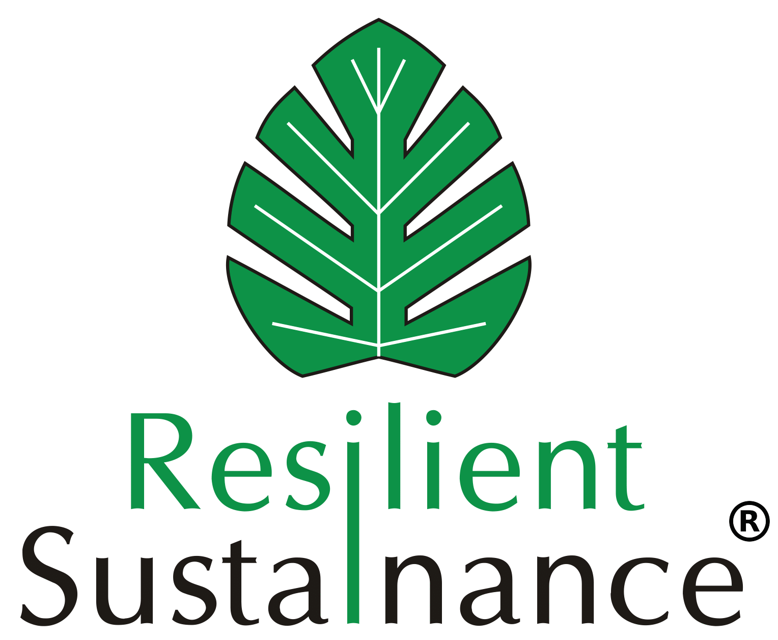 Resilient Sustainance Limited